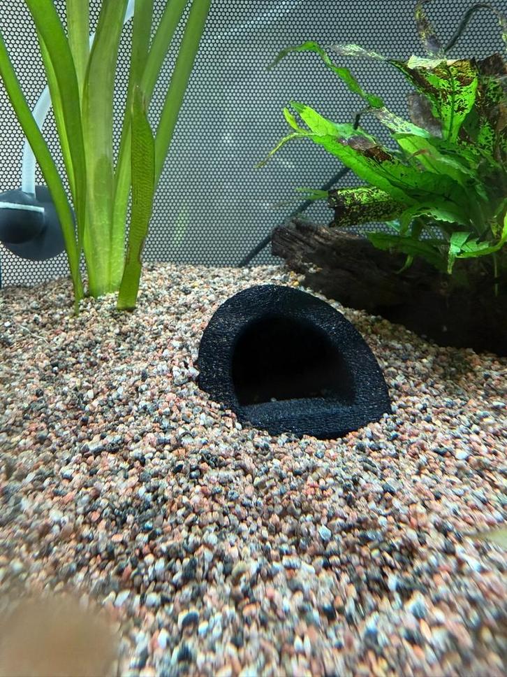 Legholen l nummers ingraafbaar, Dieren en Toebehoren, Vissen | Aquaria en Toebehoren, Nieuw, Plant(en), Steen of Hout, Ophalen of Verzenden