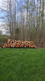 hout op stam, Tuin en Terras, Haardhout, Stammen, Elzenhout, 3 tot 6 m³, Ophalen