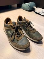 Lacoste Schoenen Maat 46, Ophalen of Verzenden, Gedragen, Overige kleuren, Sneakers of Gympen