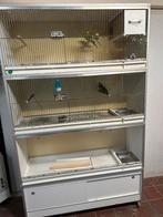 Broedkooi Van Keulen, Dieren en Toebehoren, Ophalen, Zo goed als nieuw, Kunststof, Broedkooi of Kweekkooi