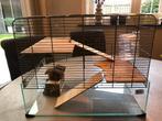 Mooie hamsterkooi incl. toebehoren, Kooi, Minder dan 75 cm, Zo goed als nieuw, Hamster