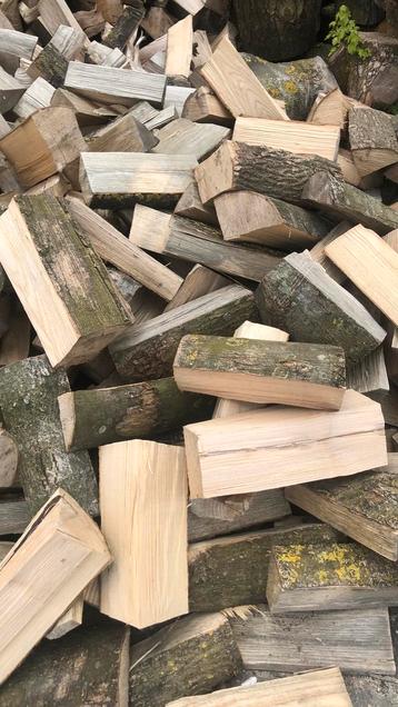 Vers haardhout essen, beuken of populier beschikbaar voor biedingen