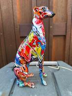 street a windhond whippet greyhound hazewindhond beeld, Ophalen of Verzenden