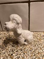 Beeld poedel, Ophalen of Verzenden, Zo goed als nieuw, Dier