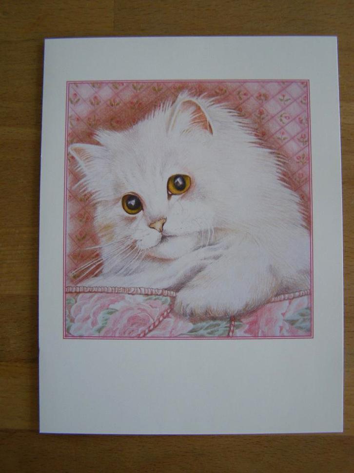 Dubbele kaart met afbeelding van poes / kat; Melanie Panesh, Diversen, Wenskaarten, Nieuw, Ophalen of Verzenden