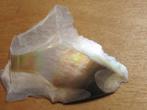 min. 6x stukje ABALONE SCHELP (3), Verzamelen, Verzenden, Mineraal