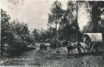 8978 Uit de omgeving Huybergen (Huijbergen), Verzamelen, Ansichtkaarten | Nederland, Ophalen of Verzenden