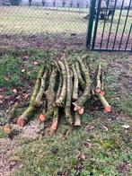 Draaihout, Doe-het-zelf en Verbouw, Hout en Planken, Minder dan 25 mm, Ophalen of Verzenden, Plank, Minder dan 200 cm