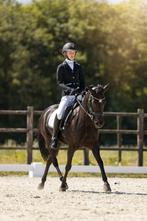 Top brave New Forest merrie te koop!, Merrie, Gechipt, Dressuurpony, L