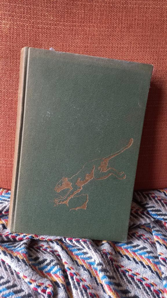 Boek Met een luipaard op schoot - Michaela Denis, Boeken, Overige Boeken, Gelezen, Ophalen of Verzenden