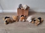 knuffel hondjes, Kinderen en Baby's, Speelgoed | Knuffels en Pluche, Ophalen, Zo goed als nieuw, Overige typen
