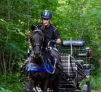Zwarte c pony betuigt., Dieren en Toebehoren, Paarden, Minder dan 160 cm, Niet van toepassing, Tuigpaard, 11 jaar of ouder