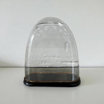 Vintage XL glazen stolp / ovale glasvitrine beschikbaar voor biedingen