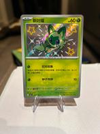 Sprigatito holo (0106/09) - CBB1C, Ophalen of Verzenden