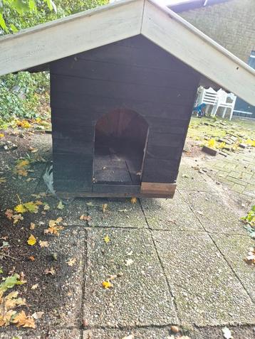 Hondenhok  beschikbaar voor biedingen
