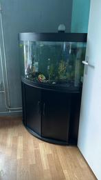 Hoek aquarium, Dieren en Toebehoren, Vissen | Aquaria en Toebehoren, Ophalen, Gebruikt, Grind, Zand of Voedingsbodem