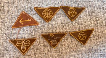 Set oude insignes Scouting Padvinderij jr 50-70 set02 beschikbaar voor biedingen