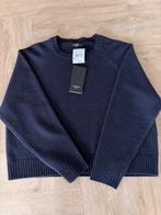 Weekend Max Mara Blauwe Wollen Trui - Maat L, Kleding | Dames, Ophalen of Verzenden, Nieuw, Maat 42/44 (L), Blauw