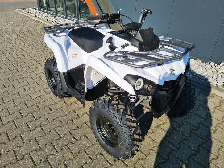 orion 200cc Landbouw / quad ( Grizzly 125 ) zonder kenteken, Motoren, Quads en Trikes