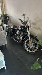 Harley Davidson Sportster Low Rider - Kleine Vrouw, Motoren, 2 cilinders, Particulier, Meer dan 35 kW, Chopper