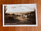 Valkenburg (L.). Panorama. 1951., Ophalen of Verzenden, 1940 tot 1960, Gelopen, Limburg