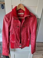 Rode leren jas Vero Moda - Maat S, Vero Moda, Ophalen of Verzenden, Zo goed als nieuw, Maat 36 (S)