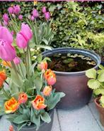 Partij zinkel ketels en emmers, koperen ketel, Tuin en Terras, Bloembakken en Plantenbakken, Ophalen, Rond, Metaal, Minder dan 30 cm