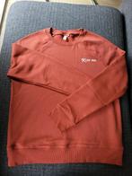 Melt sweater, maat M | NIEUW, Melt, Ophalen of Verzenden, Nieuw, Maat 38/40 (M)