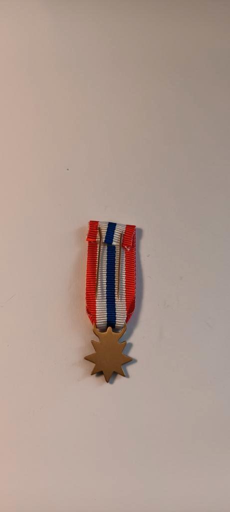 ORDE EN VREDE, Postzegels en Munten, Penningen en Medailles, Brons, Buitenland, Ophalen of Verzenden