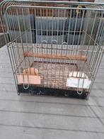 Papegaaien vervierskooien,quarantaine,voor op reis, Dieren en Toebehoren, Ophalen, Gebruikt, Metaal, Vogelkooi