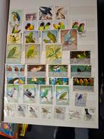 Prachtig album met vogel series, Ophalen of Verzenden, Gestempeld