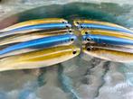 Softbaits - Kunstaas voor roofvissen!, Ophalen of Verzenden, Nieuw, Kunstaas