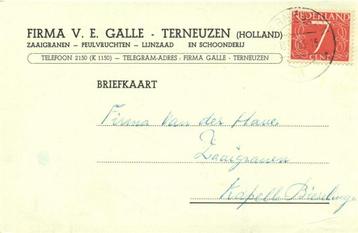 Firma V.E. Galle - Terneuzen - 01.1956 - briefkaart beschikbaar voor biedingen