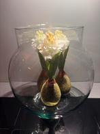 Glazen vaas, Overige kleuren, Ophalen of Verzenden, Minder dan 50 cm, Glas