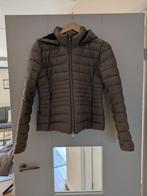 Daite damesjasje maat 38 - getailleerd, Kleding | Dames, Daite, Ophalen of Verzenden, Zo goed als nieuw, Maat 38/40 (M)