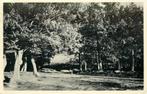 (379-189-025) Elspeet  De Bosrand, Verzamelen, Ansichtkaarten | Nederland, Verzenden, Gelderland