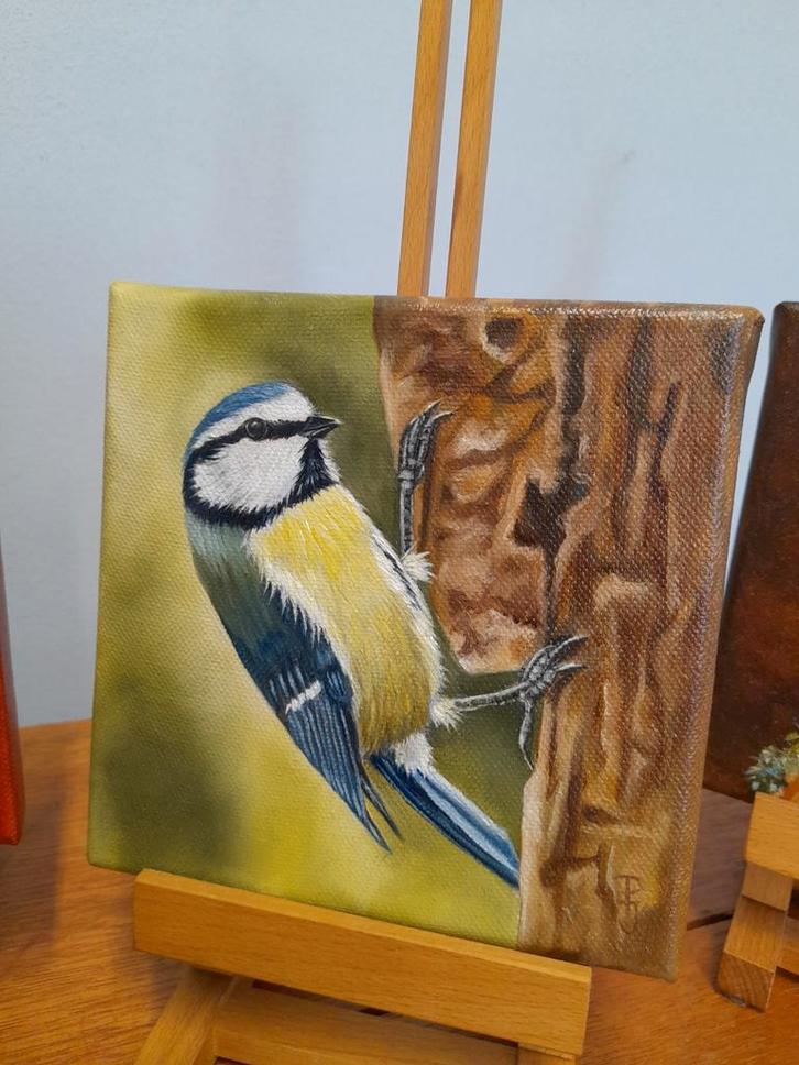 Schilderij pimpelmees - eigen werk - origineel cadeau vogel, Antiek en Kunst, Kunst | Schilderijen | Klassiek, Ophalen of Verzenden