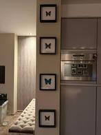 Vlinderlijst set van 4 lijsten, Oorspronkelijke maker, Overige typen, Ophalen of Verzenden, Zo goed als nieuw