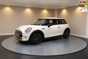 Mini Mini 1.2 One Salt Business *1ste Eigenaar* Neon-ring|Na beschikbaar voor biedingen