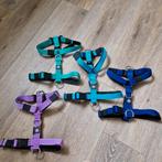 BullyBillows mini tri tuigje harnas nieuw, Ophalen of Verzenden, Zo goed als nieuw