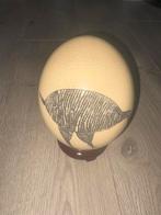 Beschilderd Struisvogelei op Mahonie Sokkel (voetstuk), Ophalen of Verzenden