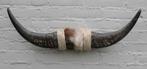 Texas style BULLBAR- 73 cm - afgewerkt met koeienvel en touw
