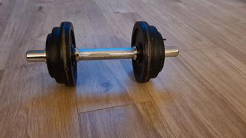 Halter/dumbell beschikbaar voor biedingen
