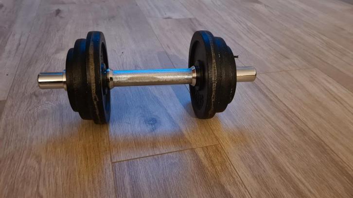 Halter/dumbell, Sport en Fitness, Fitnessmaterialen, Gebruikt, Dumbbell, Armen, Borst, Rug, Ophalen