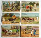 verzamelkaarten Bensdorp serie Akkerbouw, Ophalen of Verzenden, Gebruikt