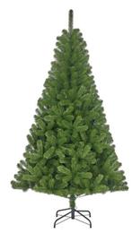 Kerstboom - ZO MEENEMEN!, Ophalen, Zo goed als nieuw