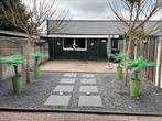 Palm 4x (kunst), Ophalen, Bloeit niet, Overige soorten, Volle zon