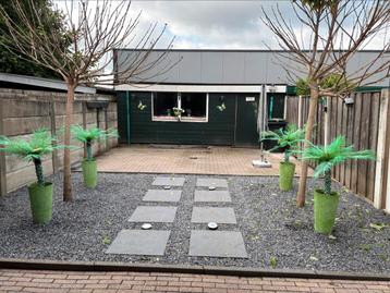 Palm 4x (kunst) beschikbaar voor biedingen
