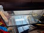Aquarium, Ophalen of Verzenden, Zo goed als nieuw, Leeg aquarium