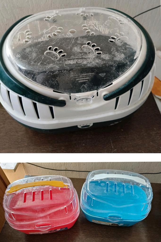 3x vervoersbakje knaagdier/ vogel (1x groot, 2x klein), Dieren en Toebehoren, Knaagdieren en Konijnen | Hokken en Kooien, Reiskooi of Transportbox